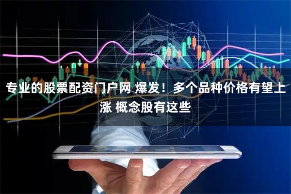 专业的股票配资门户网 爆发！多个品种价格有望上涨 概念股有这些