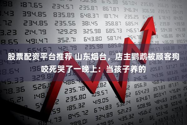 股票配资平台推荐 山东烟台，店主鹦鹉被顾客狗咬死哭了一晚上：当孩子养的