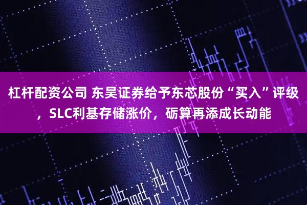 杠杆配资公司 东吴证券给予东芯股份“买入”评级，SLC利基存储涨价，砺算再添成长动能