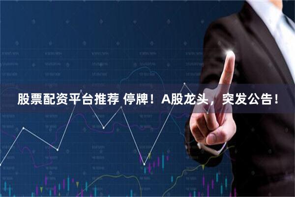 股票配资平台推荐 停牌！A股龙头，突发公告！